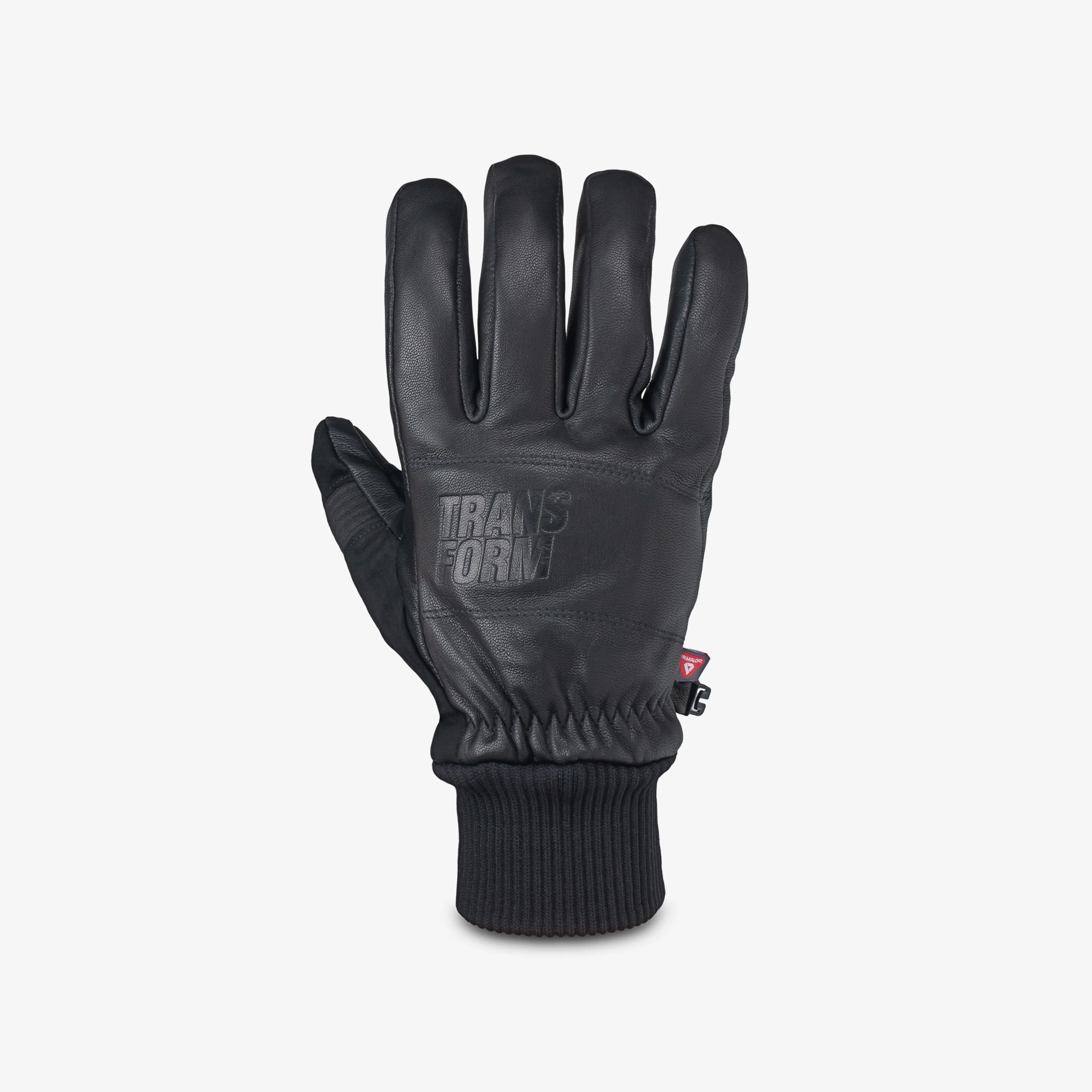 Transform Photo Incentive Glove